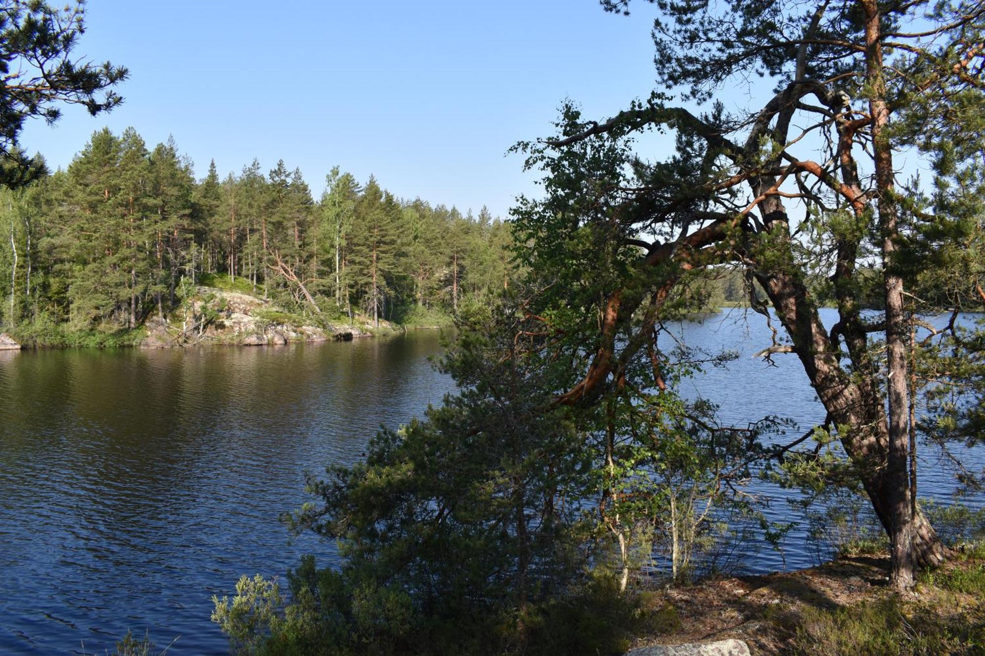 Hus Vena - Schoenes Ferienhaus Naehe Vimmerby Und Astrid Lindgrens Vaerld Exteriör bild