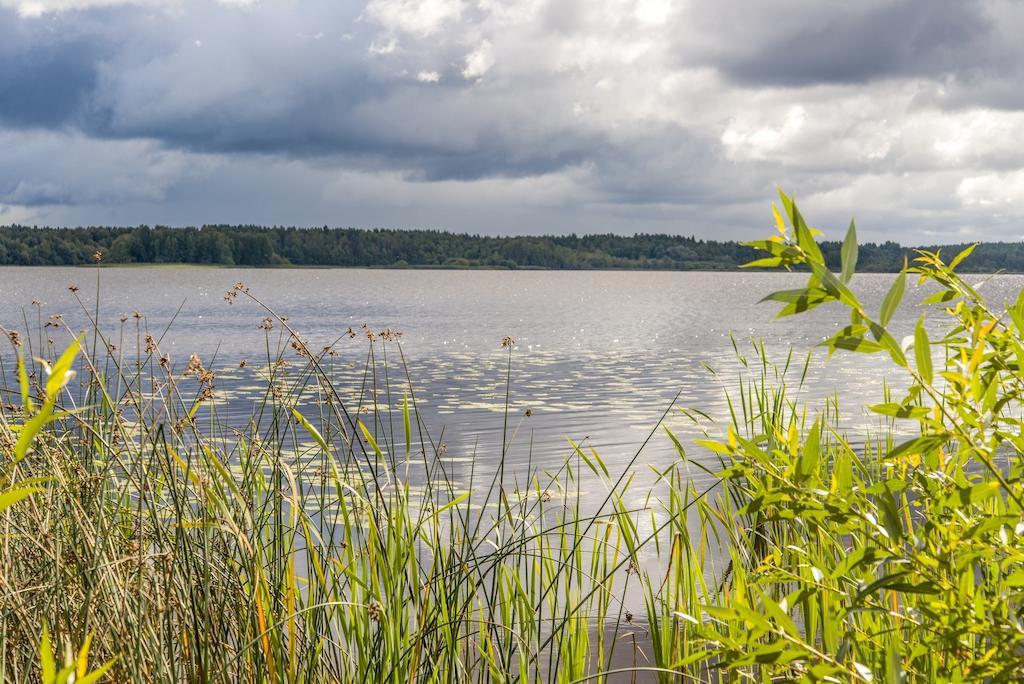 Hus Vena - Schoenes Ferienhaus Naehe Vimmerby Und Astrid Lindgrens Vaerld Exteriör bild